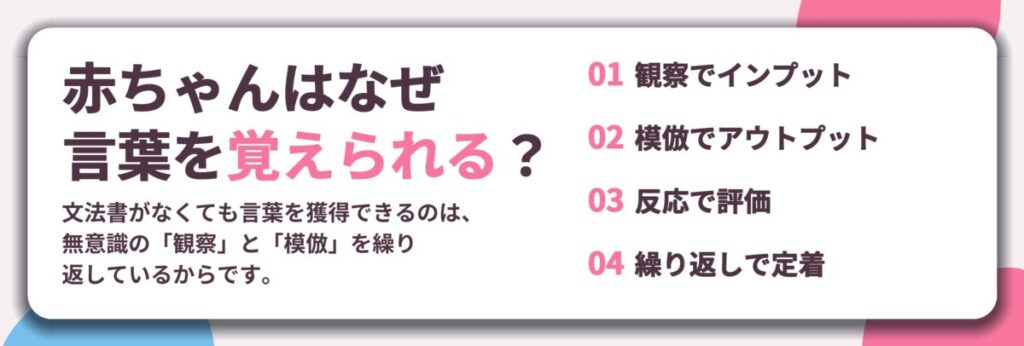 赤ちゃんはなぜ 言葉を覚えられる？