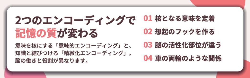2つのエンコーディングで 記憶の質が変わる。核となる意味を定着、想起のフックを作る、脳の活性化部位が違う、車の両輪のような関係