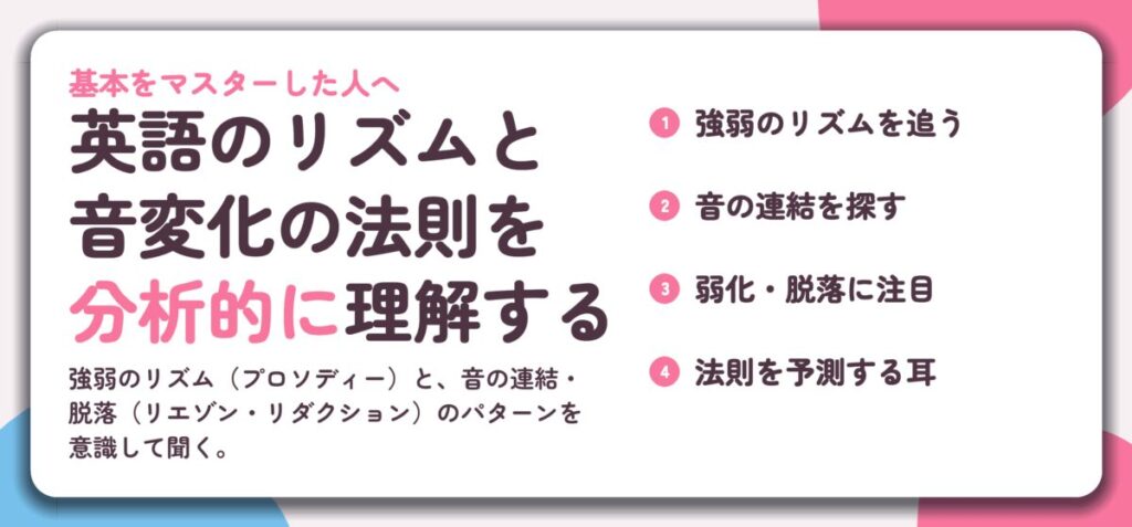 英語のリズムと 音変化の法則を 分析的に理解する。強弱のリズムを追う、音の連結を探す、弱化・脱落に注目、法則を予測する耳