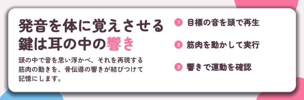 発音を体に覚えさせる 鍵は耳の中の響き。目標の音を頭で再生、筋肉を動かして実行、響きで運動を確認
