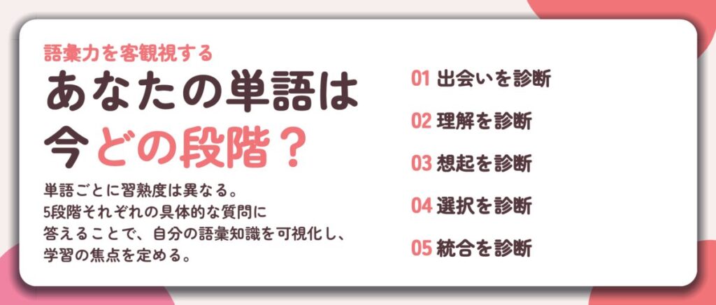 あなたの単語は 今どの段階？。出会いを診断、理解を診断、想起を診断、選択を診断、統合を診断