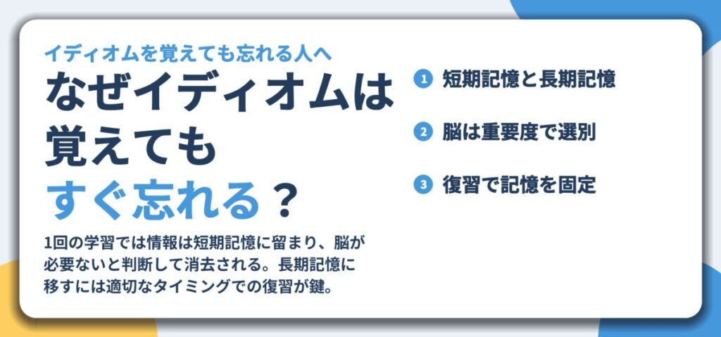 なぜイディオムは 覚えても すぐ忘れる?。短期記憶と長期記憶、脳は重要度で選別、復習で記憶を固定